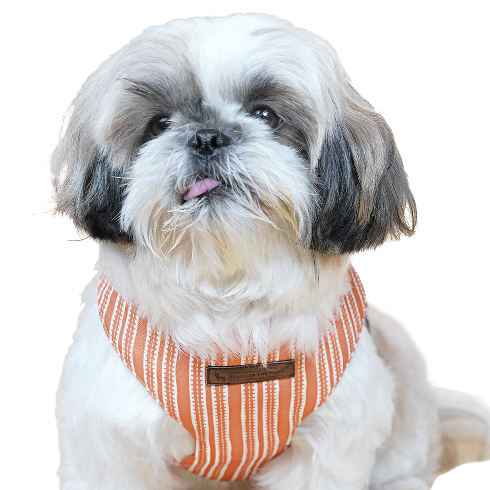 HUFT Jungle Collection Pride Reversible Dog Harness - Heads Up For Tails