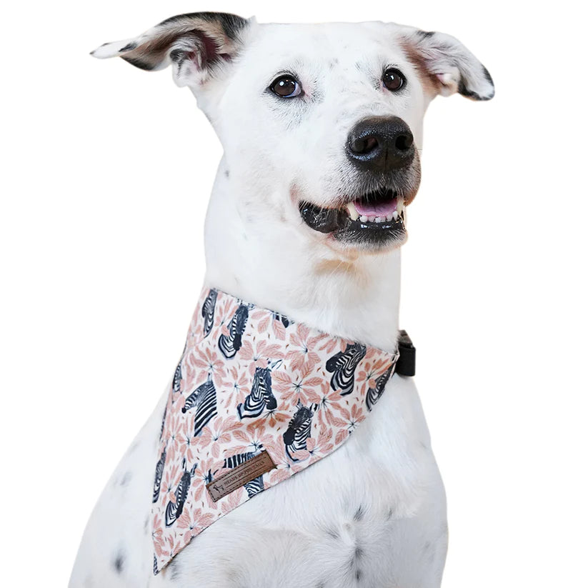 HUFT Jungle Collection Dog Bandana Combo-4