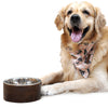 HUFT Jungle Collection Savanna's Dazzle Reversible Dog Bandana - Heads Up For Tails