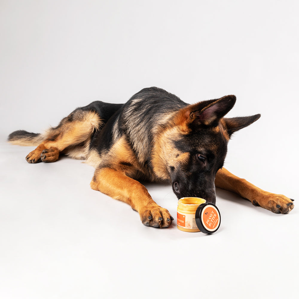 HUFT Peanut Butter For Dogs - 120 g - Heads Up For Tails