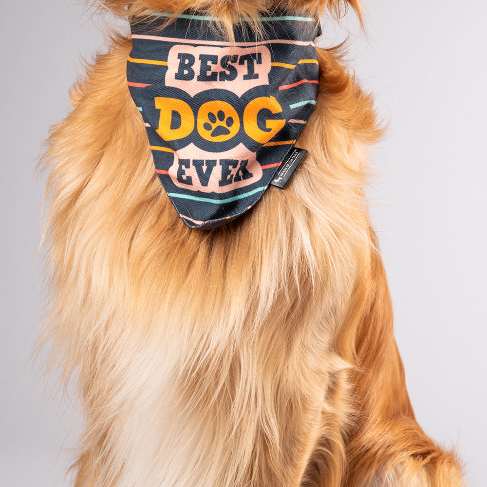 HUFT Best Dog Ever Bandana - Heads Up For Tails
