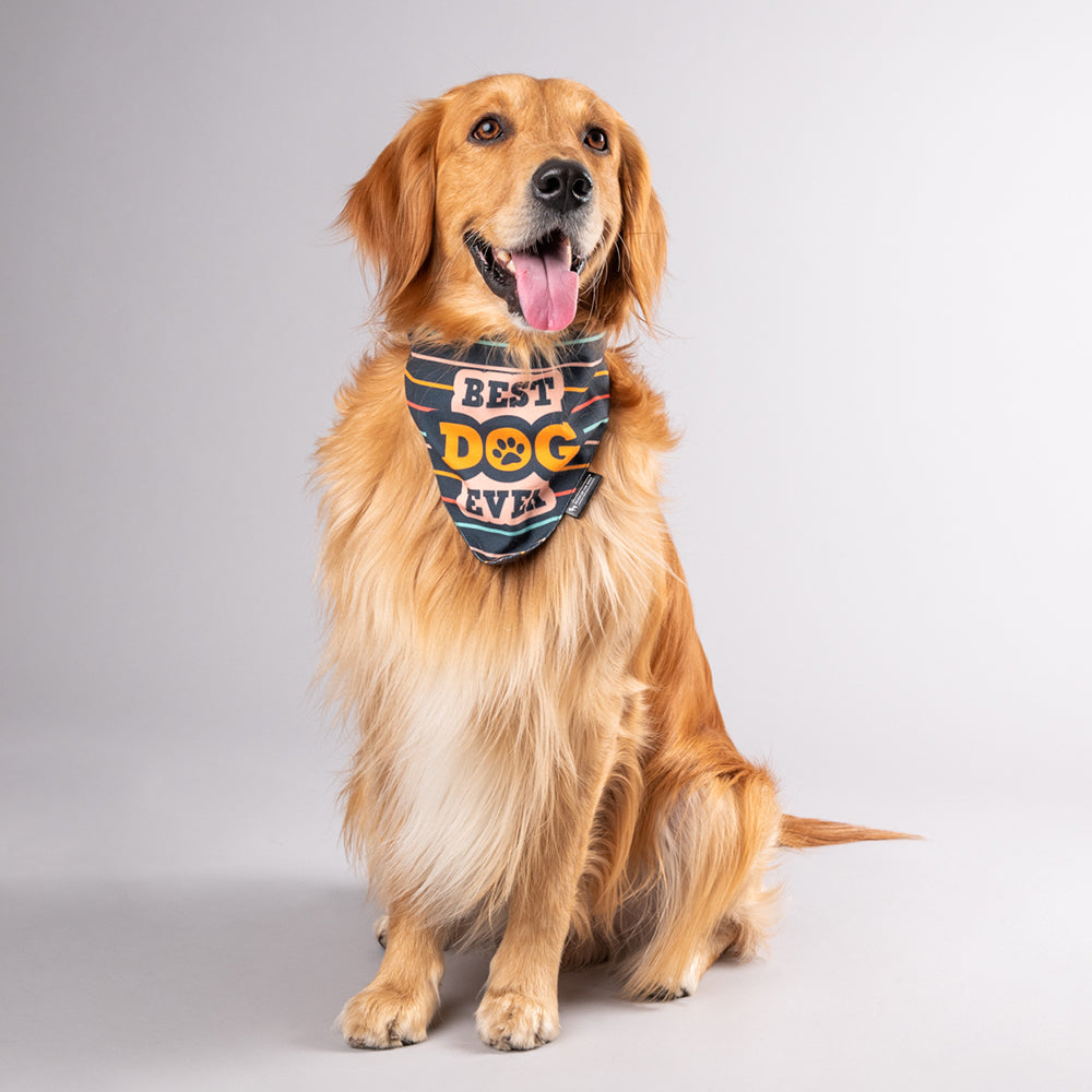 HUFT Best Dog Ever Bandana - Heads Up For Tails