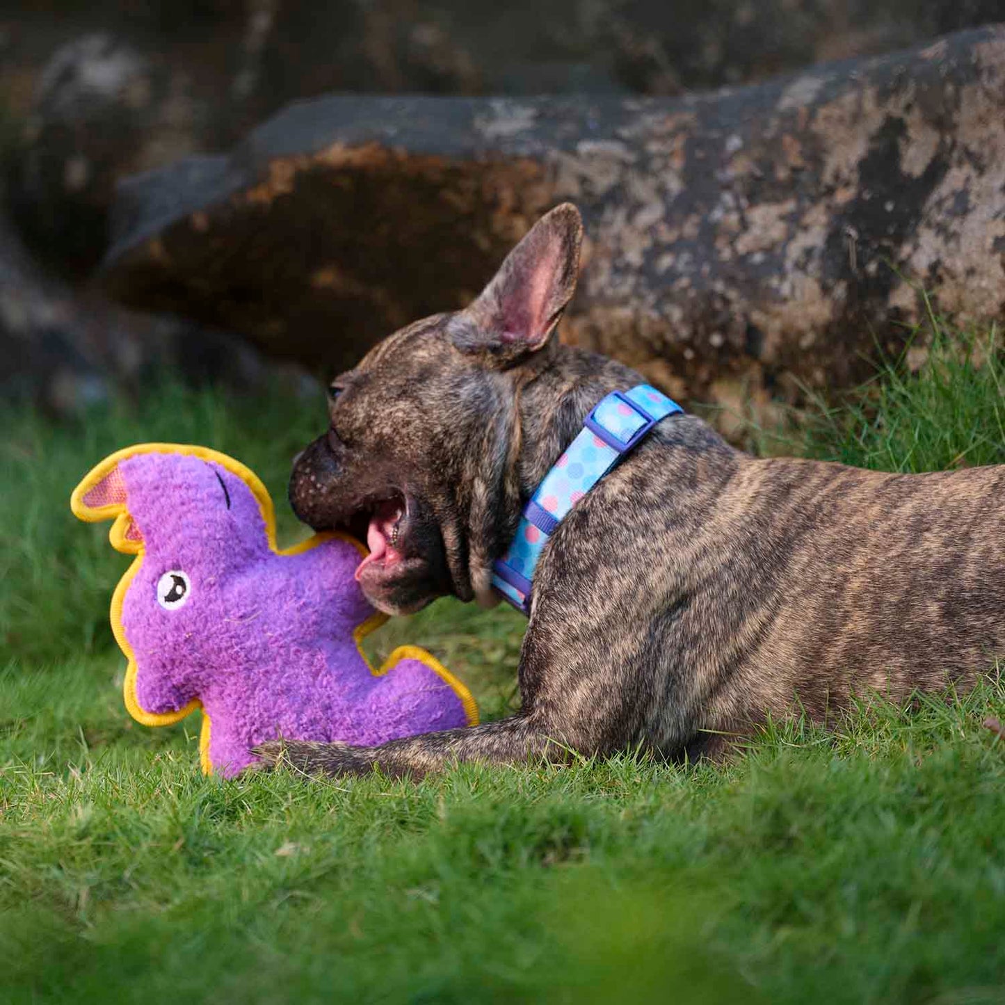 Dash Dog Wild Rhino Comfort Dog Toy - Purple - Heads Up For Tails