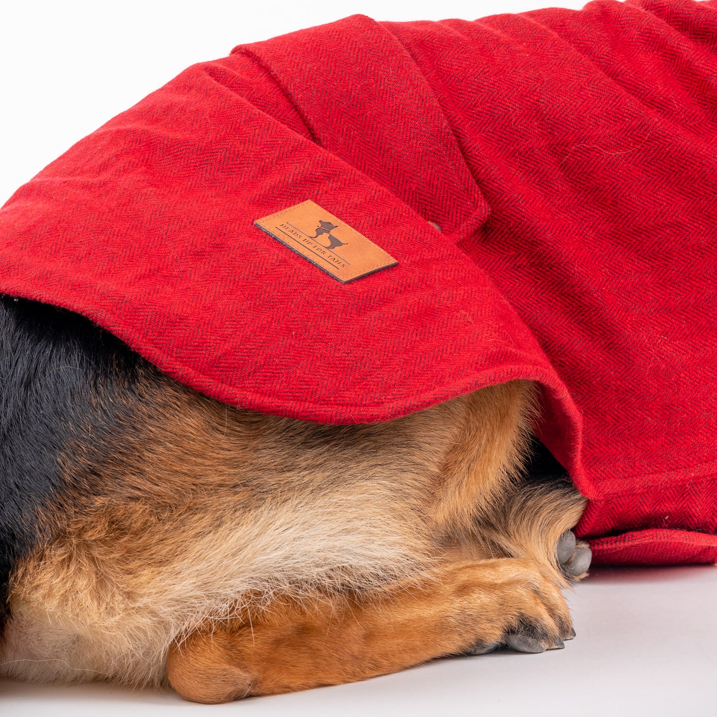 HUFT Rosy Cosy Dog Jacket - Red-5