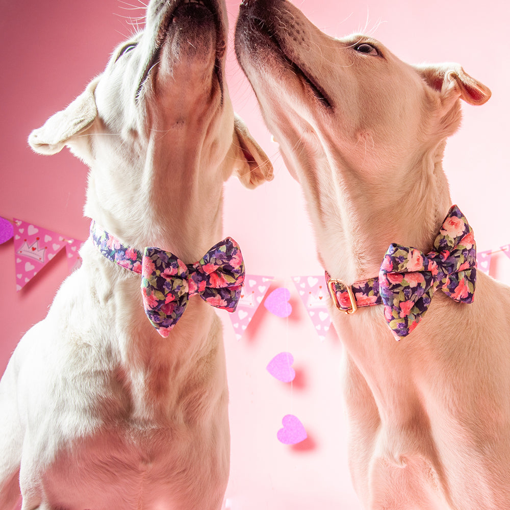 HUFT Flower Power Dog Collar With Free Bow Tie - Heads Up For Tails