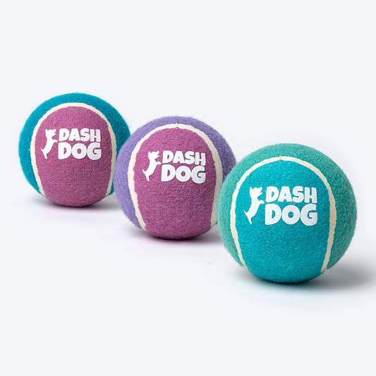 Dash Dog Fetch Balls - Set Of 3 - Assorted - Heads Up For Tails