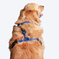 HUFT Classic Nylon Dog H Harness - Navy - Heads Up For Tails