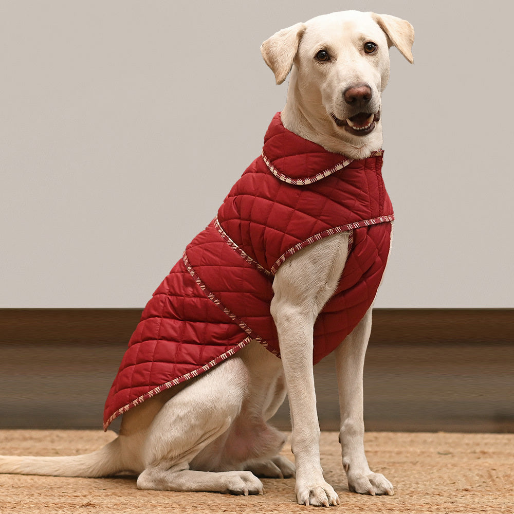 HUFT Grrrberry Quilted Dog Jacket - Maroon - Heads Up For Tails