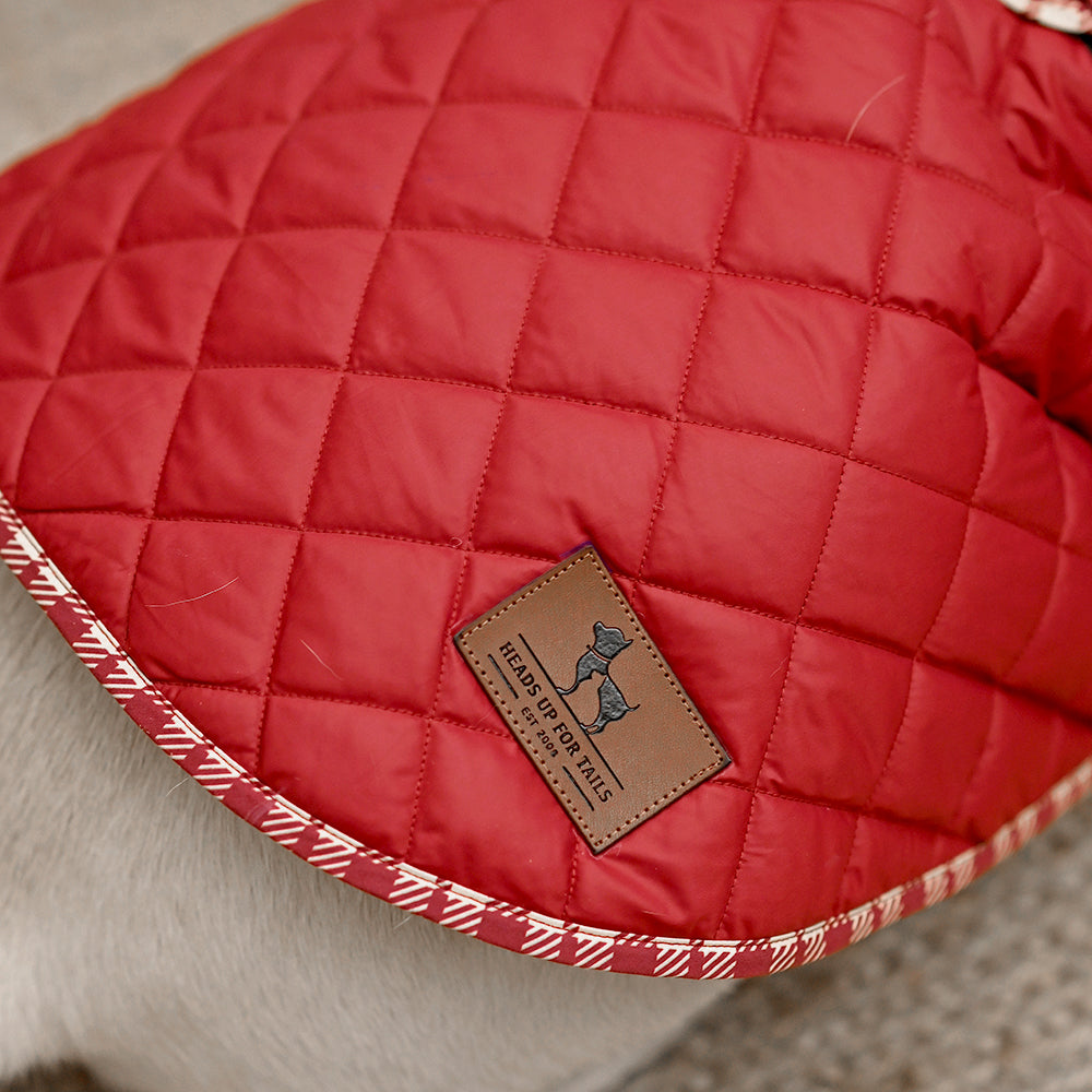 HUFT Grrrberry Quilted Dog Jacket - Maroon - Heads Up For Tails