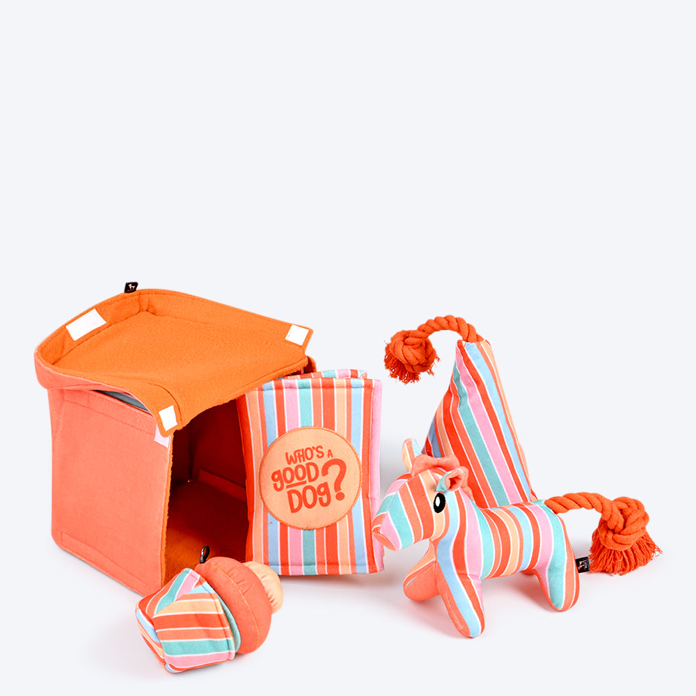 HUFT Birthday Box Combo For Dogs - Heads Up For Tails