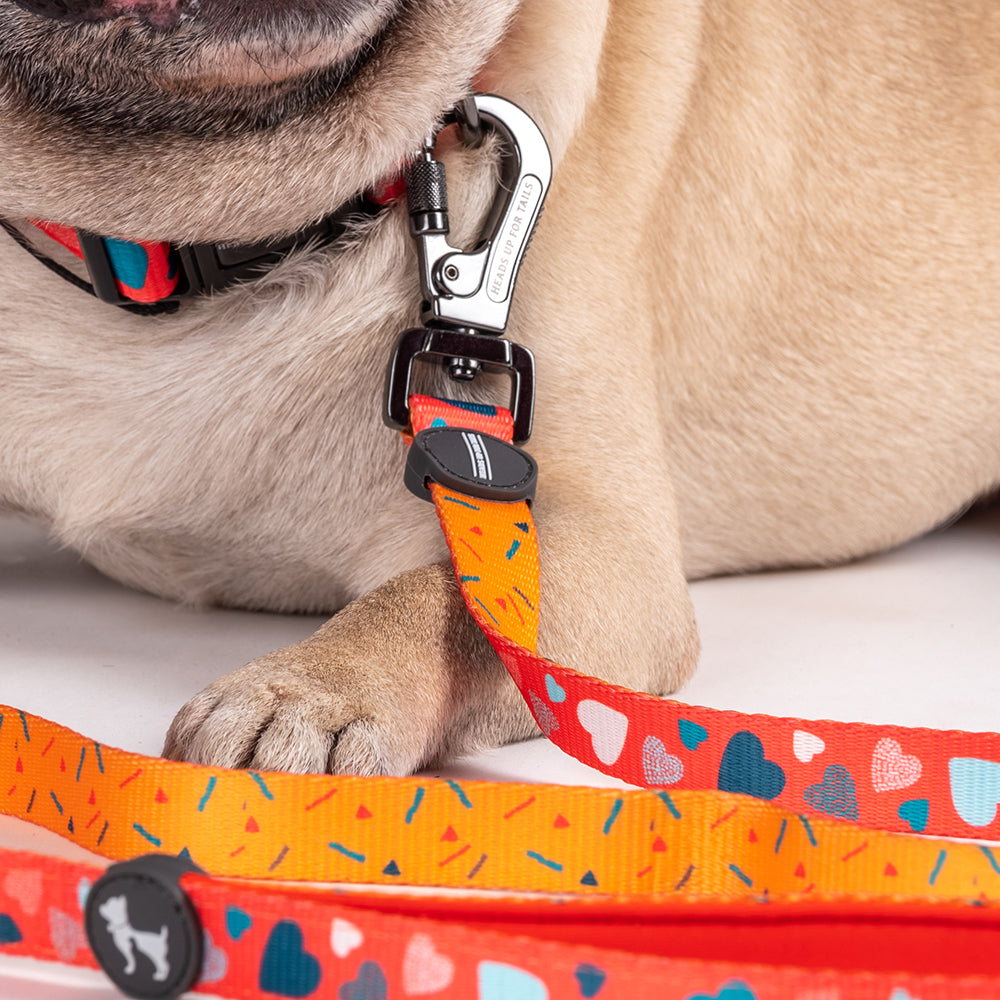 HUFT Endless Joy Printed Dog Leash - Heads Up For Tails