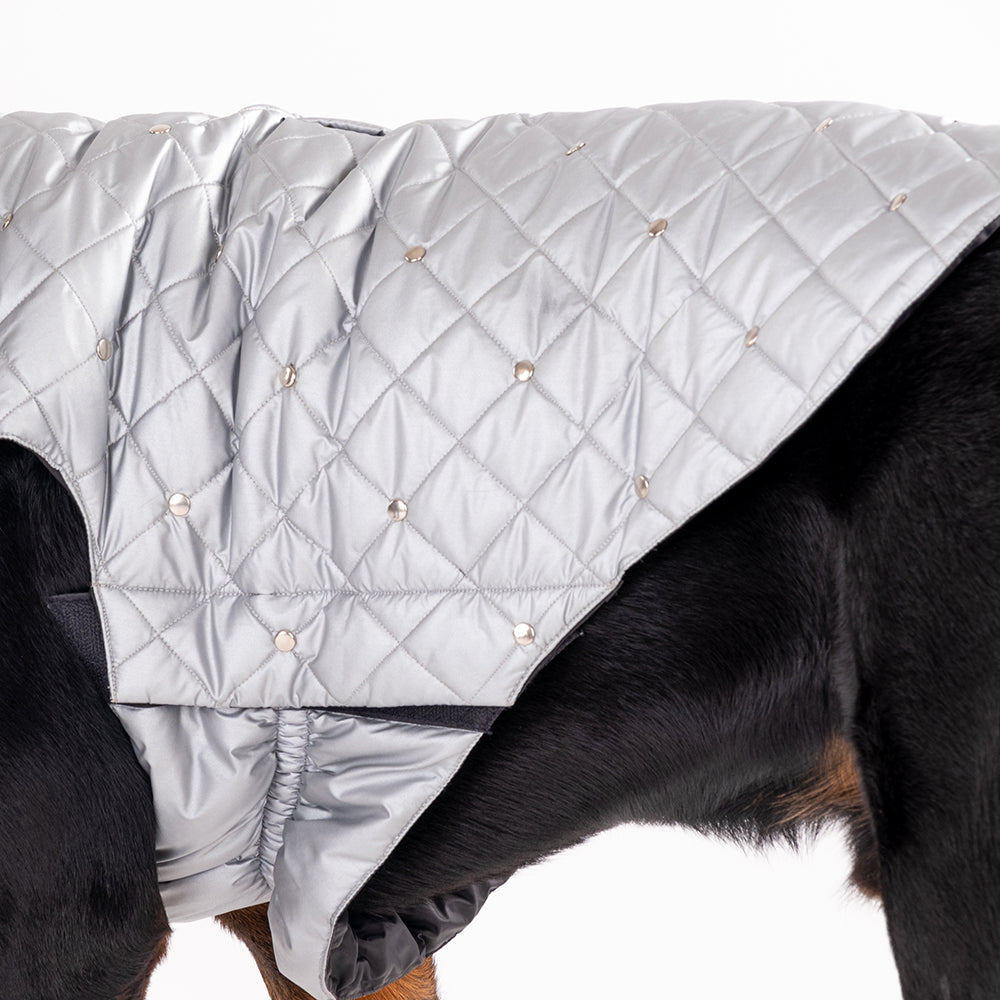 HUFT Luxe Stud Quilted Jacket For Pet - Mat Silver-5