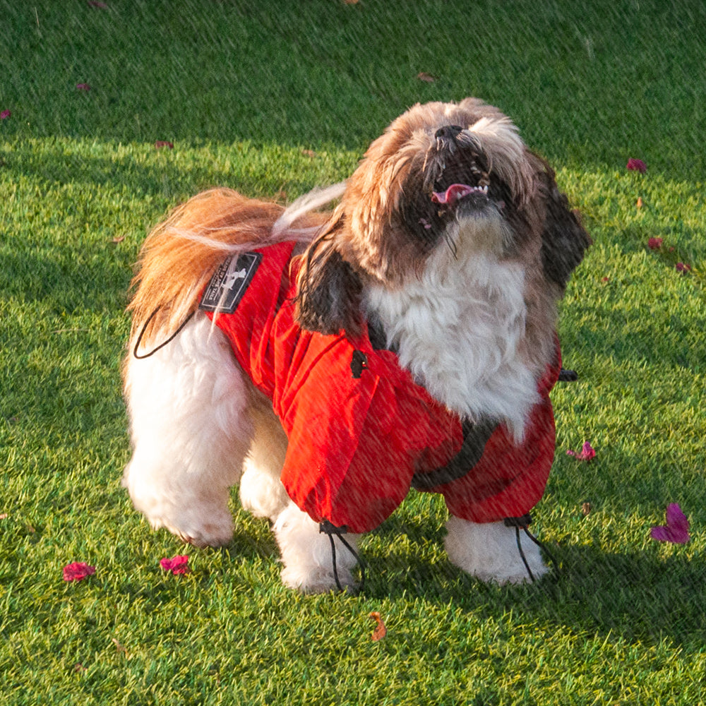 HUFT Drizzle Buddy Dog Raincoat - Red - Heads Up For Tails