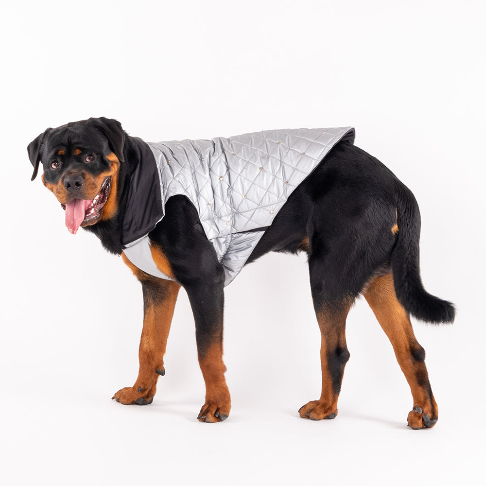 HUFT Luxe Stud Quilted Jacket For Pet - Mat Silver-3