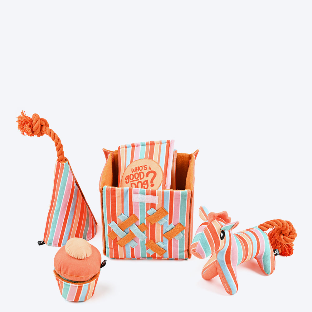 HUFT Birthday Box Combo For Dogs - Heads Up For Tails