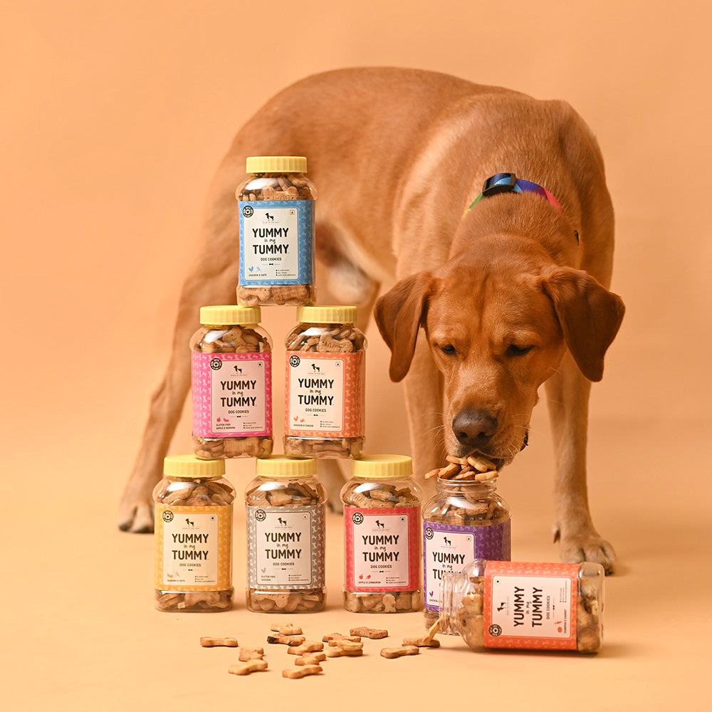 HUFT YIMT Chicken and Oats Dog Biscuits-3