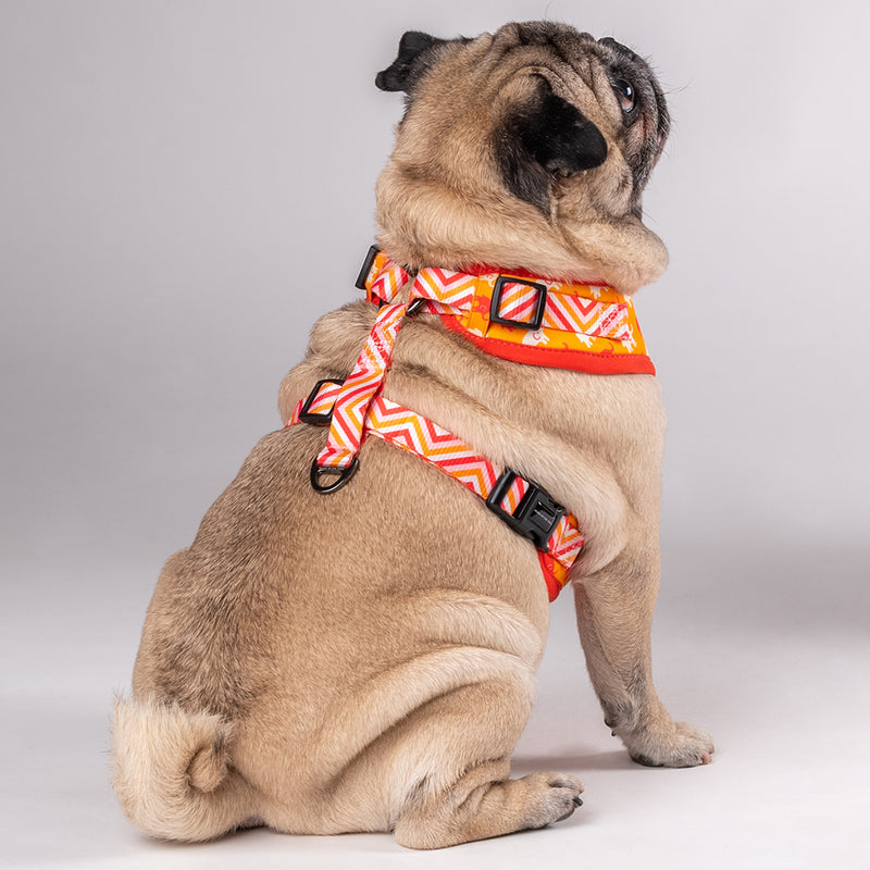 HUFT Summer Legacy Printed Harness - Heads Up For Tails