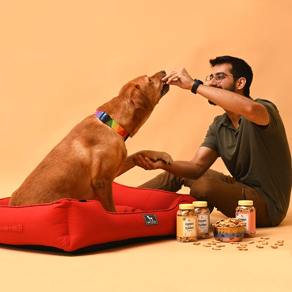 HUFT YIMT Dog Biscuits Combo - Banana & Oats and Pumpkin & Carrots - Pack of 2 - 320 g (Each)-4