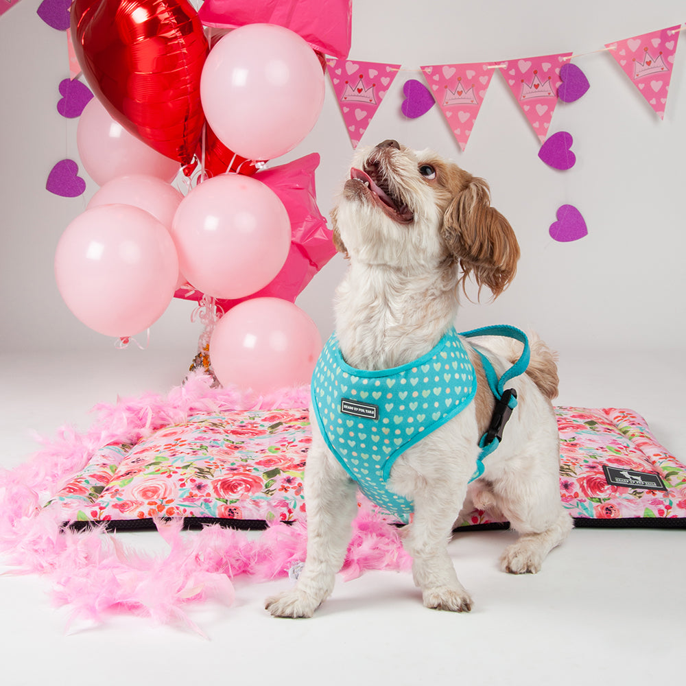 HUFT Fresh Blooms Reversible Dog Harness - Heads Up For Tails