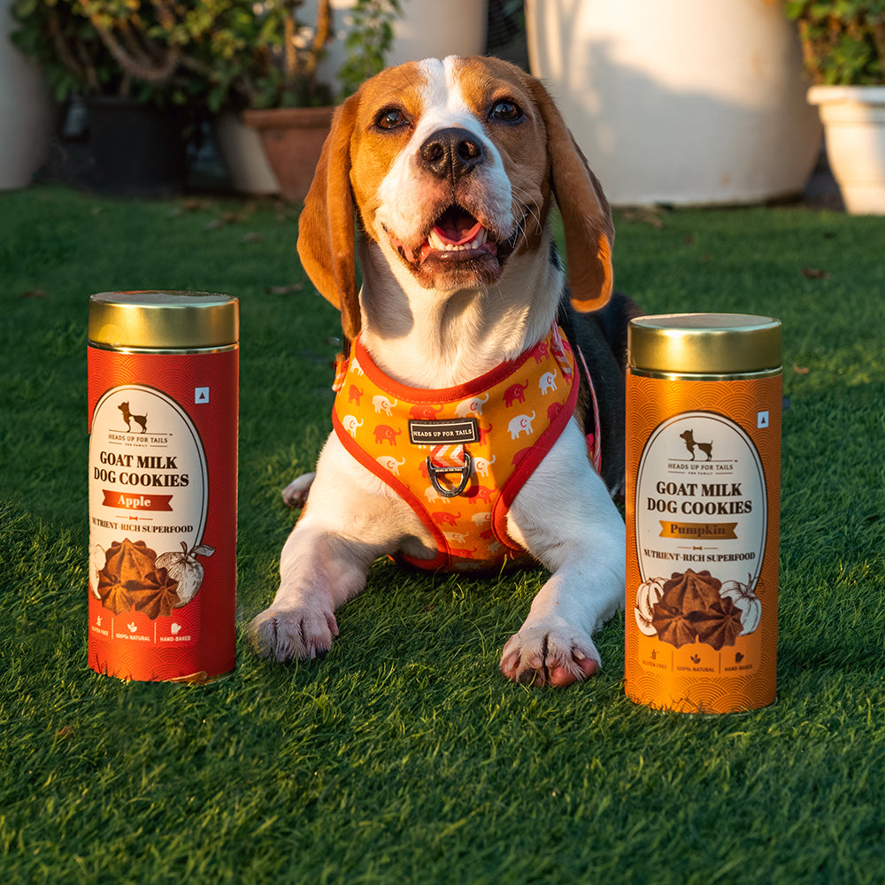 HUFT Goat Milk Dog Cookie Combo - Apple & Pumpkin - 200g Each - Heads Up For Tails