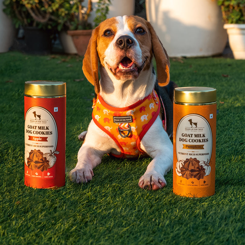 HUFT Goat Milk Dog Cookie Combo - Apple & Pumpkin - 200g Each - Heads Up For Tails