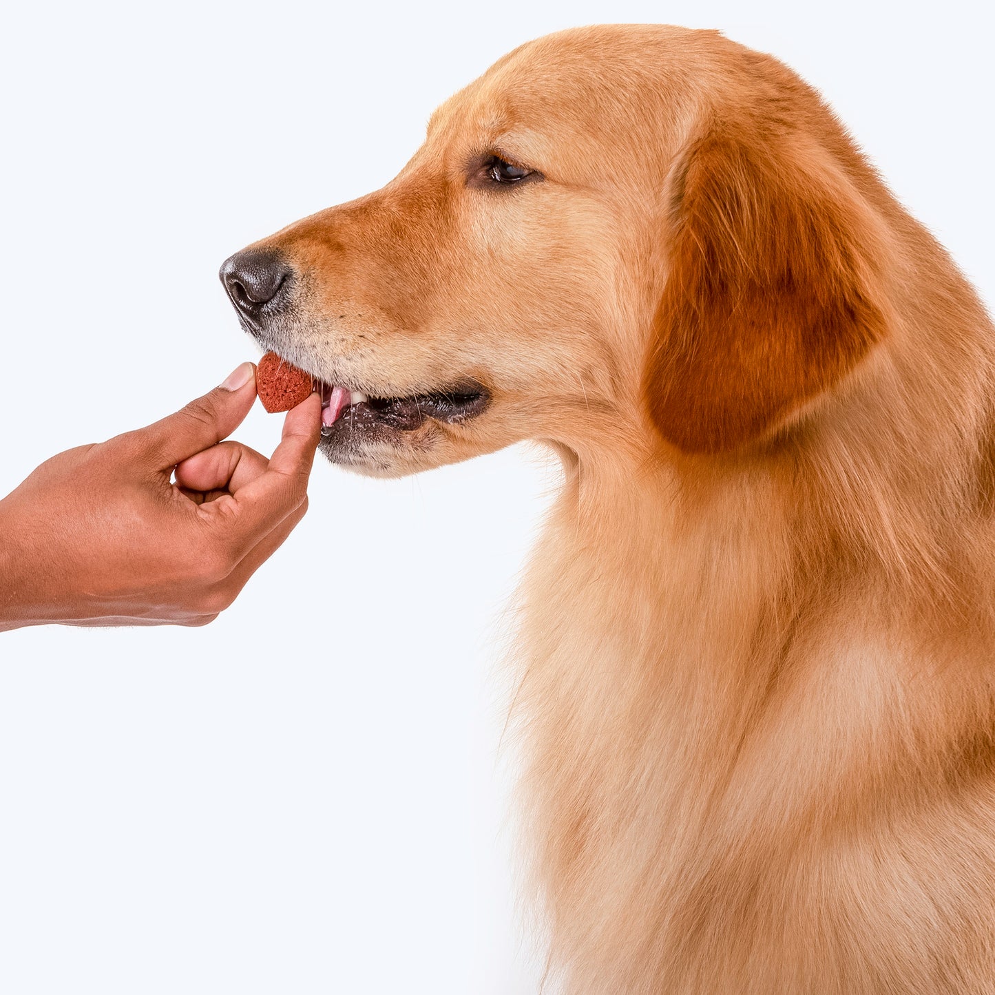 HUFT Nutri Treats For Dogs - Immunity Support - 150 g - Heads Up For Tails