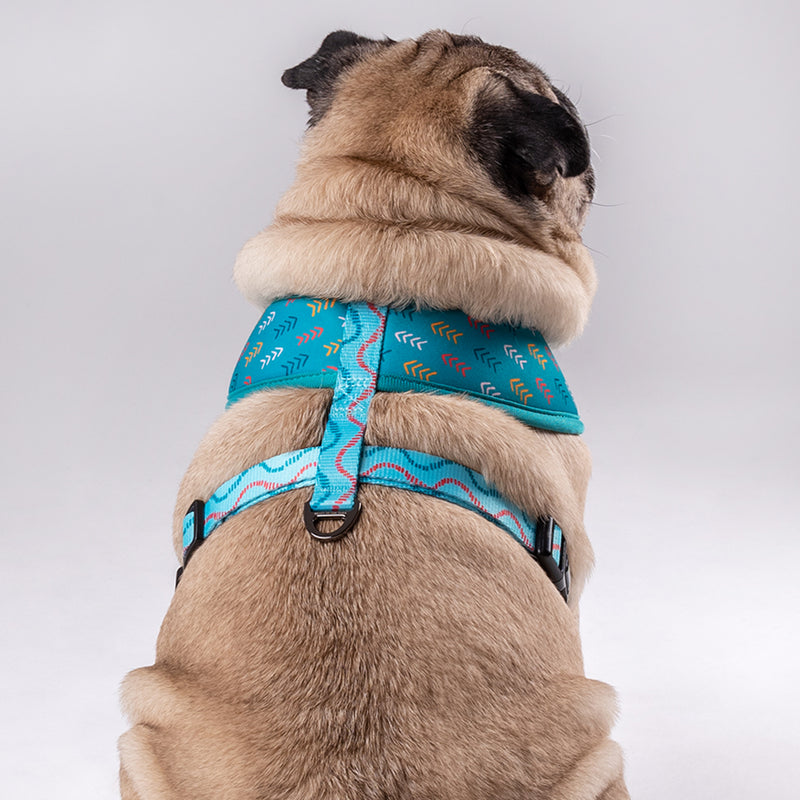HUFT Verdant Reversible Printed Harness - Heads Up For Tails