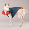 HUFT Cosy Pupper Reversible Dog Jacket- Spicy Orange - Heads Up For Tails
