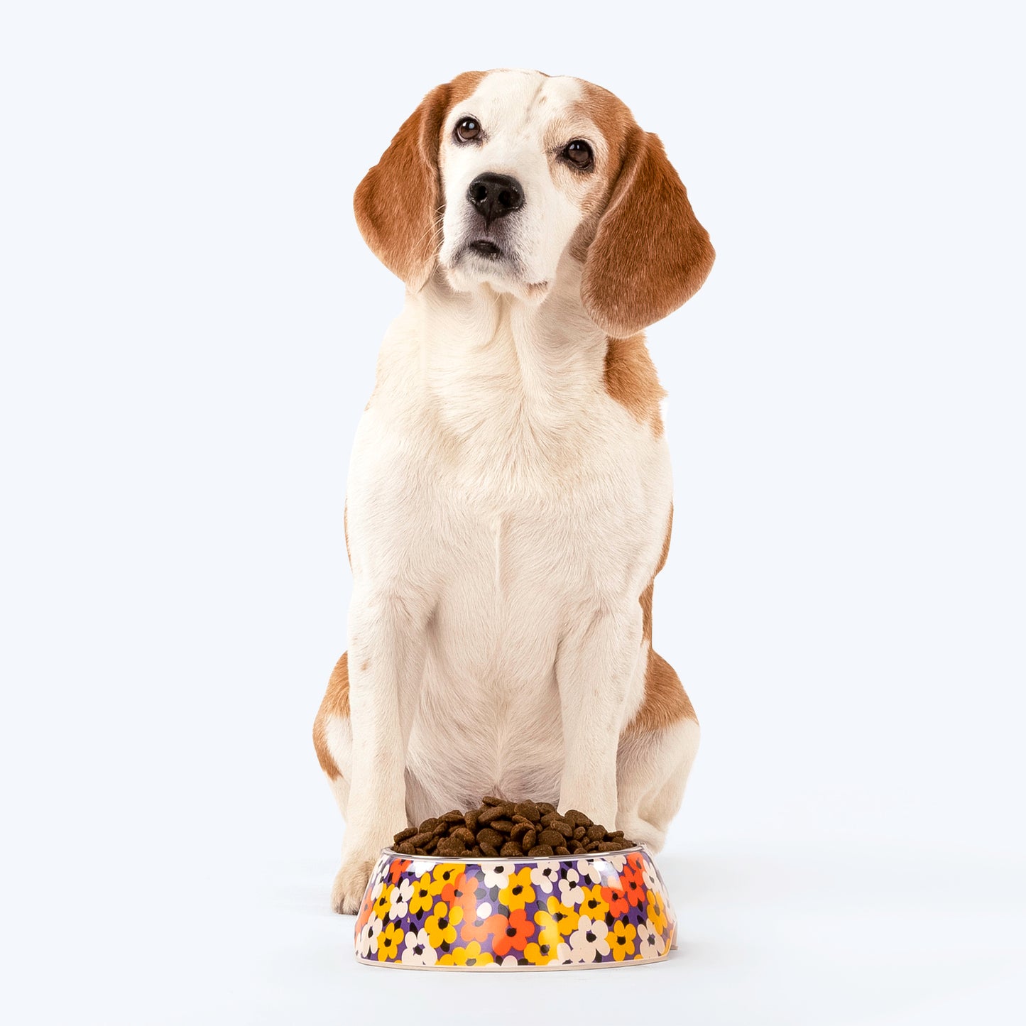 HUFT MisFit Meadow Melamine Bowl For Dogs and Cats - Heads Up For Tails