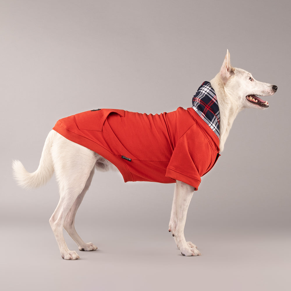 HUFT Sweatshirt for Dogs - Rust - Heads Up For Tails