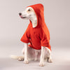 HUFT Sweatshirt for Dogs - Rust - Heads Up For Tails