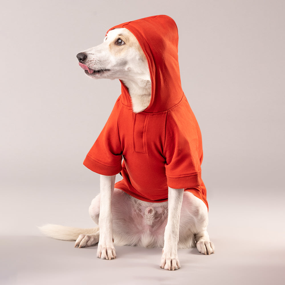 HUFT Sweatshirt for Dogs - Rust - Heads Up For Tails