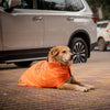 HUFT Snuggle Streetie Foundation Dog Jacket - Pack Of 3 - Heads Up For Tails