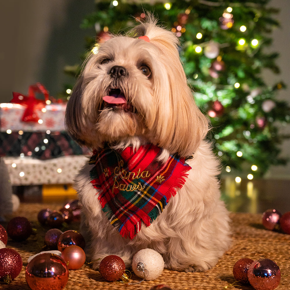 HUFT Santa Paws In Town Dog Bandana (Red and Green) - Heads Up For Tails