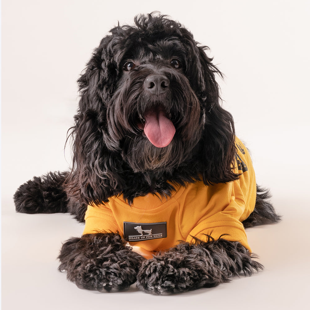HUFT Best Dog Ever Pet Sweatshirt - Yellow - Heads Up For Tails