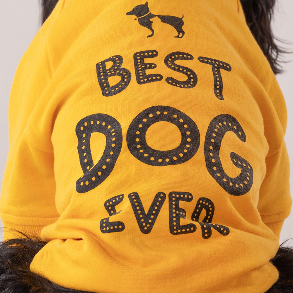 HUFT Best Dog Ever Pet Sweatshirt - Yellow - Heads Up For Tails