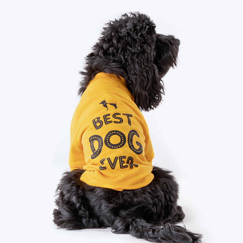 HUFT Best Dog Ever Pet Sweatshirt - Yellow - Heads Up For Tails