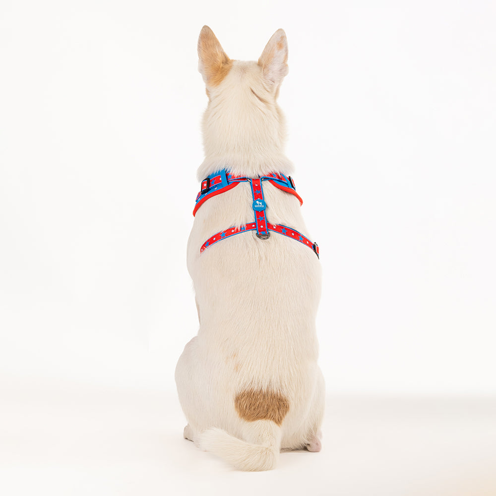 HUFT X©Marvel 2.0 Captain America Printed Reversible Dog Harness (Blue and Red) - Heads Up For Tails