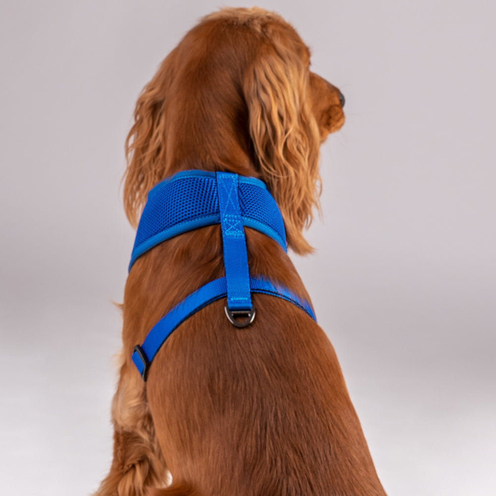 HUFT Classic Mesh Dog Harness - Blue - Heads Up For Tails