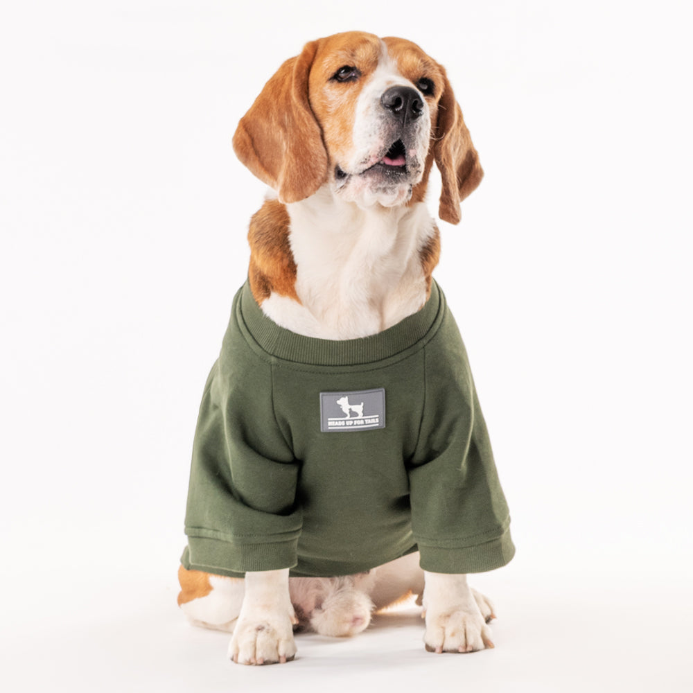 HUFT Chief Cuddle Officer Pet Sweatshirt - Green - Heads Up For Tails