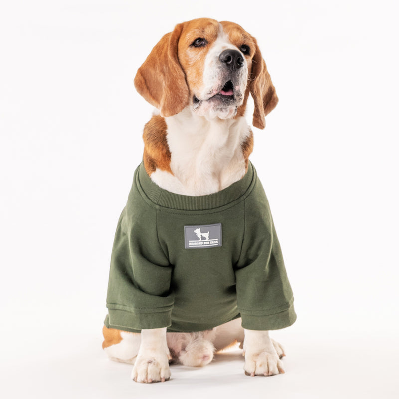 HUFT Chief Cuddle Officer Pet Sweatshirt - Green - Heads Up For Tails