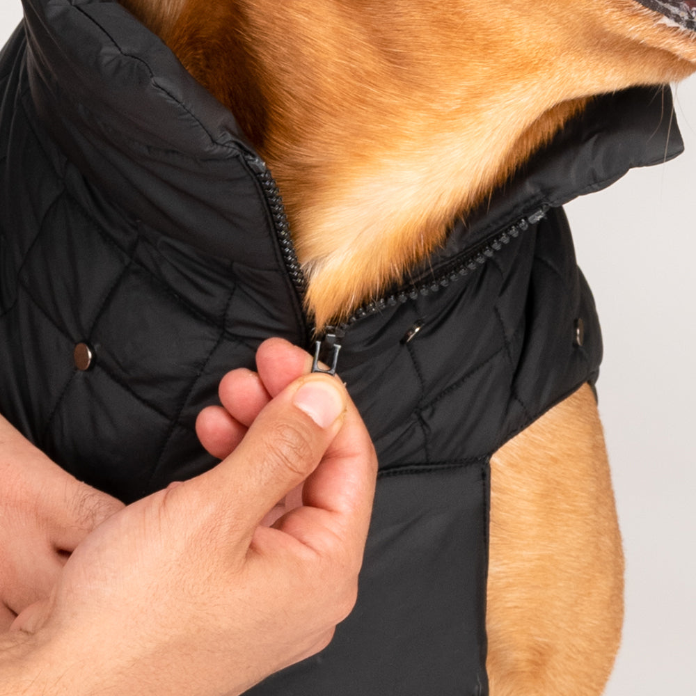 HUFT Luxe Stud Quilted Jacket For Pet - Black - Heads Up For Tails