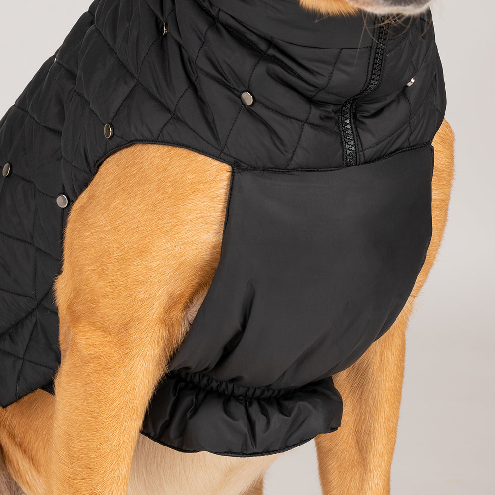 HUFT Luxe Stud Quilted Jacket For Pet - Black - Heads Up For Tails