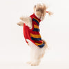 HUFT Classic Stripe Pet Sweater - Multi - Heads Up For Tails