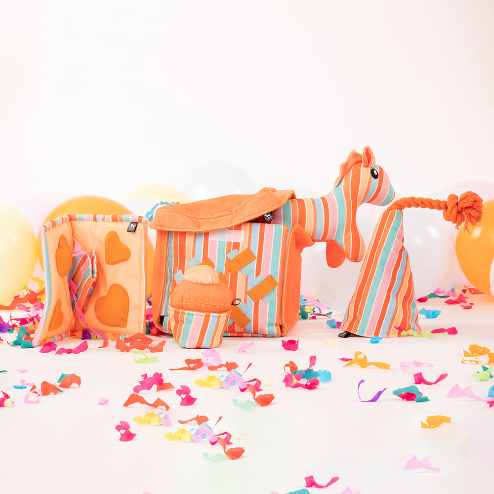 HUFT Birthday Box Combo For Dogs - Heads Up For Tails