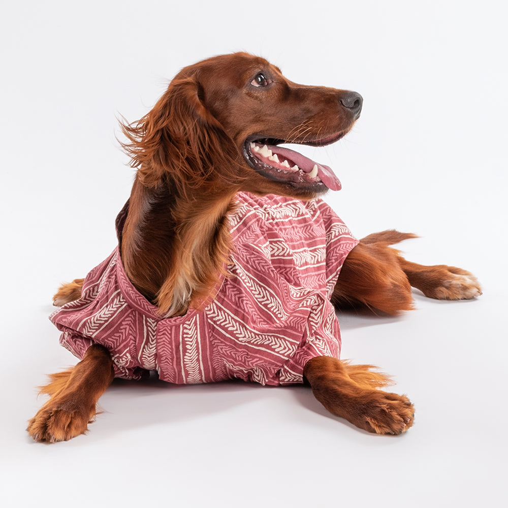 HUFT The Indian Collective Gul Dog Shirt - Maroon - Heads Up For Tails