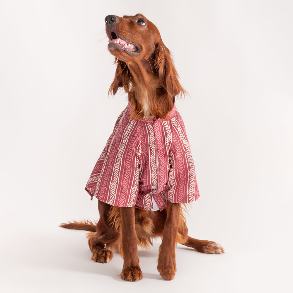 HUFT The Indian Collective Gul Dog Shirt - Maroon - Heads Up For Tails