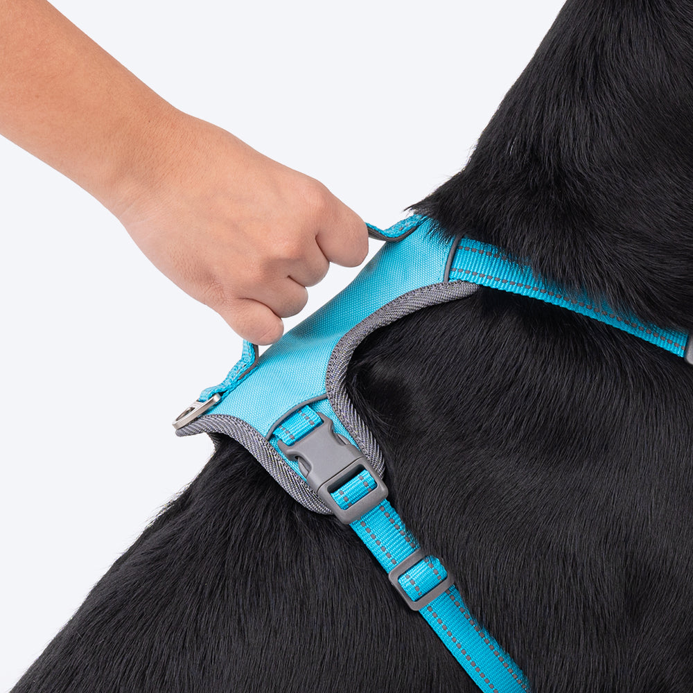 HUFT Active Pet Dog Harness - Light Blue_07