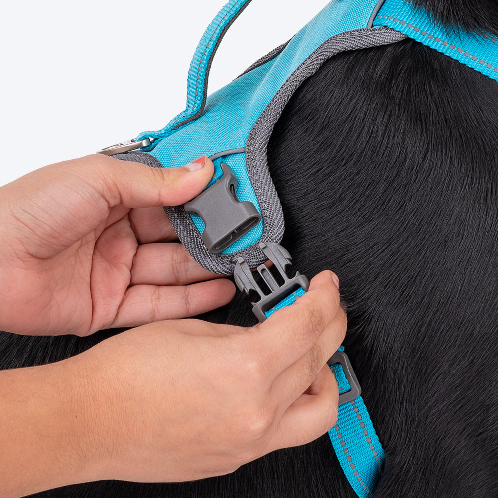 HUFT Active Pet Dog Harness - Light Blue_08
