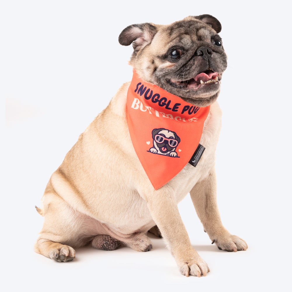 HUFT Personalised Snuggle Pug (Pet¢‚¬Å¡¬€¦¡¬‚¬Å¡¬€¦¾¢s Name) Bandana - Heads Up For Tails